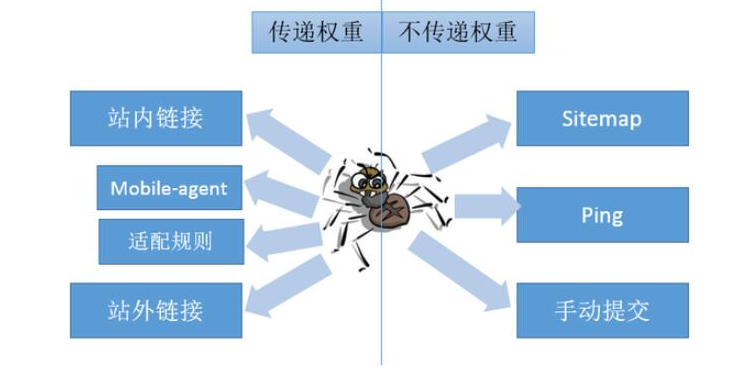 网站权重下降原因：页面丢失、标题改动和外链问题
