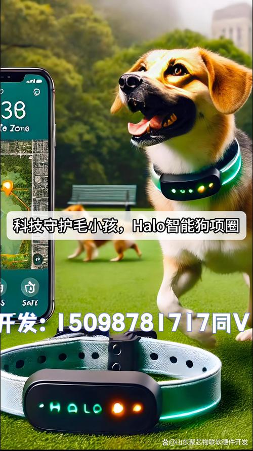 _宠物智能项圈国内外现状_监测宠物健康的设备有哪些