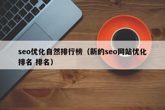 SEO自然排名的利弊分析，及与竞价排名的对比