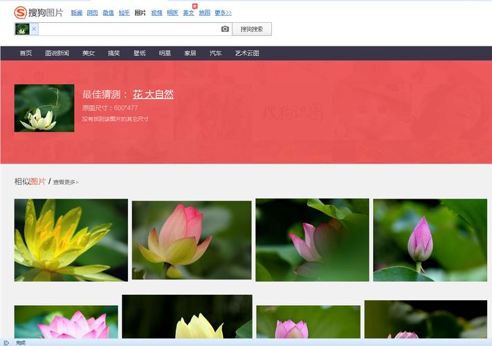引擎差异搜索有什么用_引擎差异搜索有哪些_